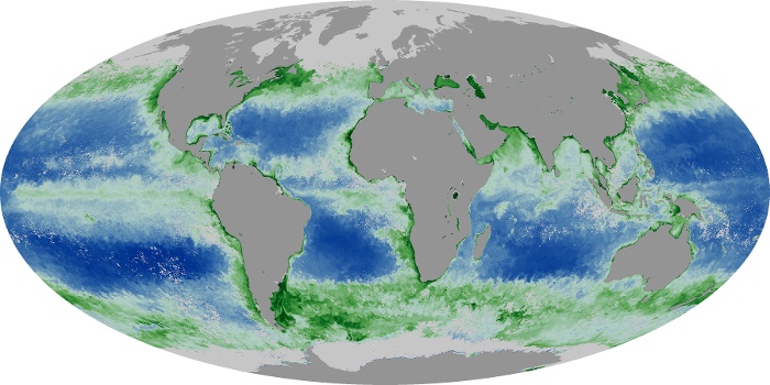 Global Map Chlorophyll Image 89