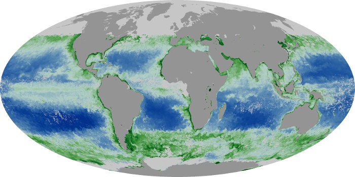 Global Map Chlorophyll Image 90