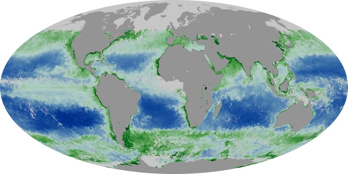 Global Map Chlorophyll Image 91