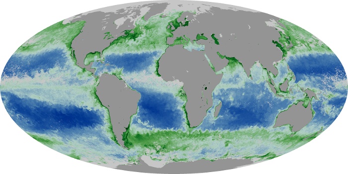 Global Map Chlorophyll Image 93