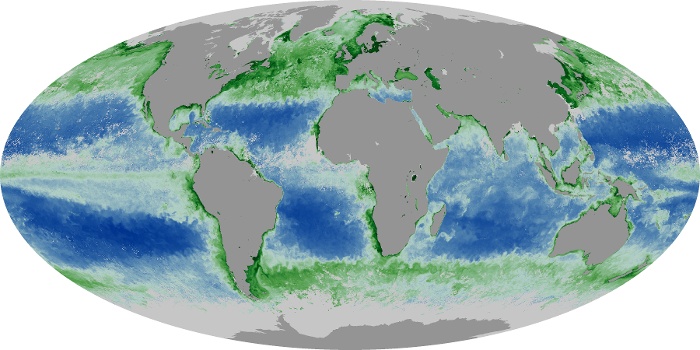 Global Map Chlorophyll Image 94
