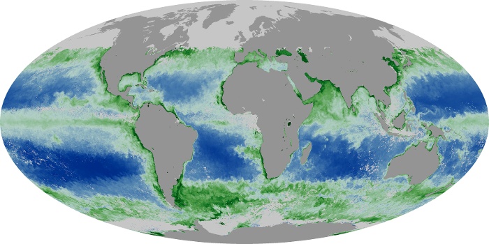 Global Map Chlorophyll Image 102