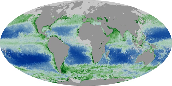Global Map Chlorophyll Image 103