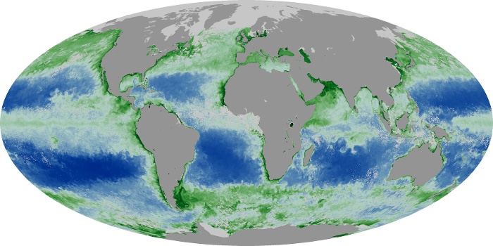 Global Map Chlorophyll Image 104