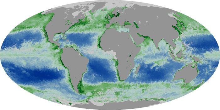 Global Map Chlorophyll Image 105