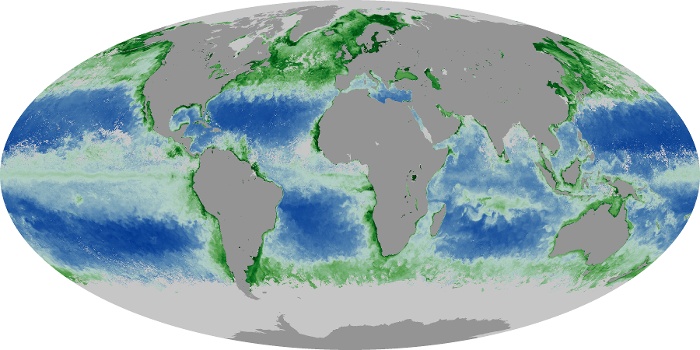 Global Map Chlorophyll Image 107