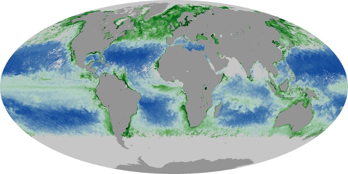 Global Map Chlorophyll Image 108