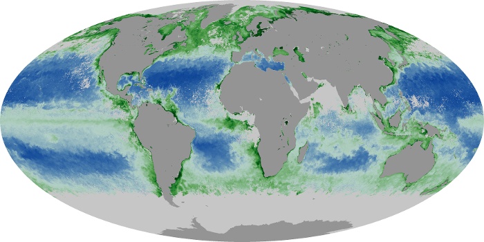 Global Map Chlorophyll Image 109