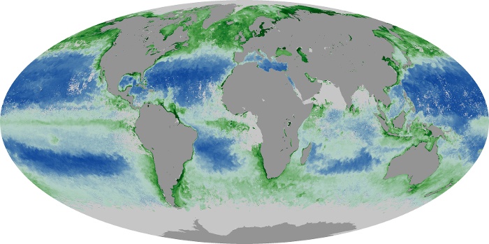 Global Map Chlorophyll Image 110