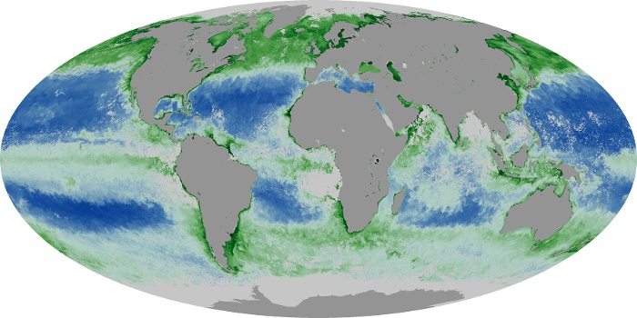 Global Map Chlorophyll Image 111