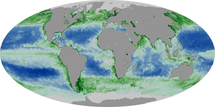 Global Map Chlorophyll Image 112