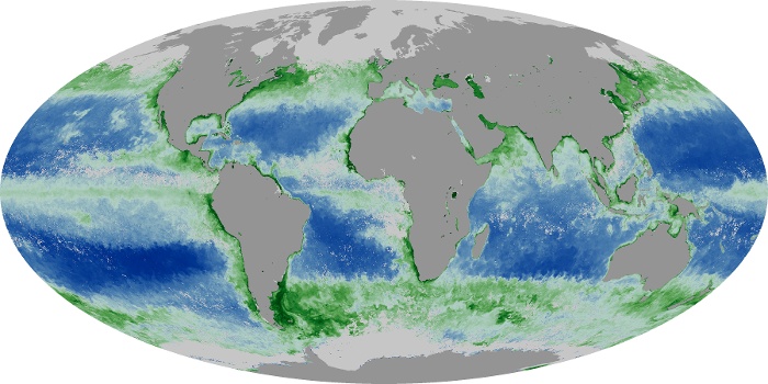 Global Map Chlorophyll Image 113