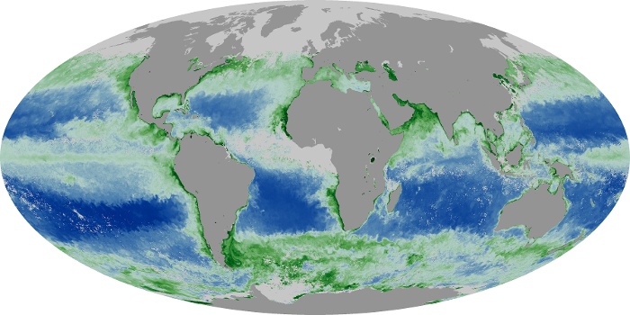 Global Map Chlorophyll Image 115