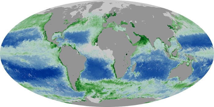 Global Map Chlorophyll Image 116