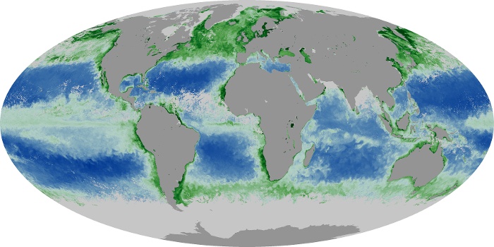 Global Map Chlorophyll Image 119