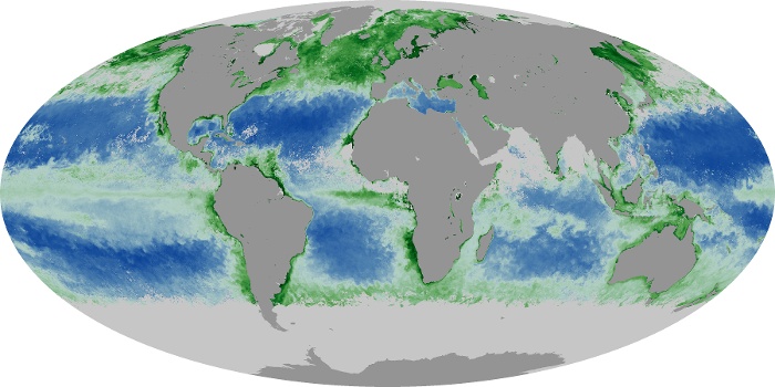 Global Map Chlorophyll Image 120
