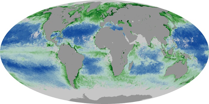Global Map Chlorophyll Image 122