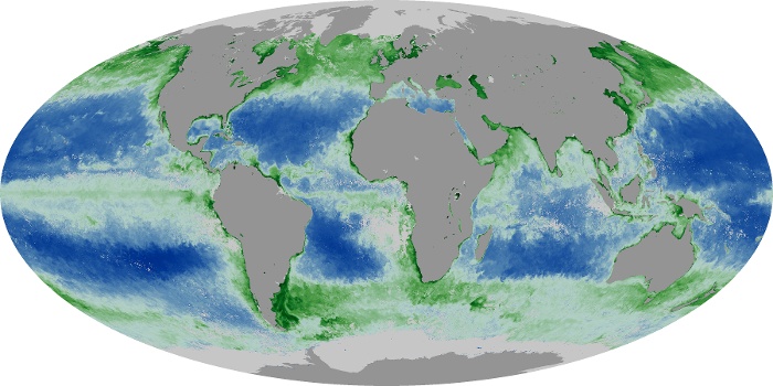 Global Map Chlorophyll Image 124