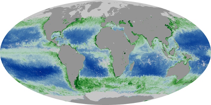 Global Map Chlorophyll Image 125