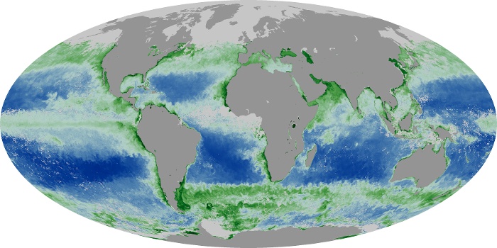 Global Map Chlorophyll Image 127
