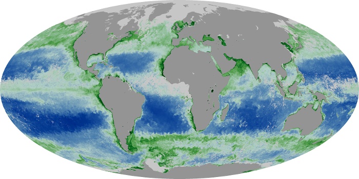 Global Map Chlorophyll Image 128