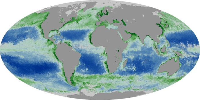 Global Map Chlorophyll Image 129