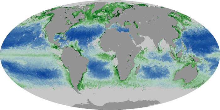 Global Map Chlorophyll Image 133