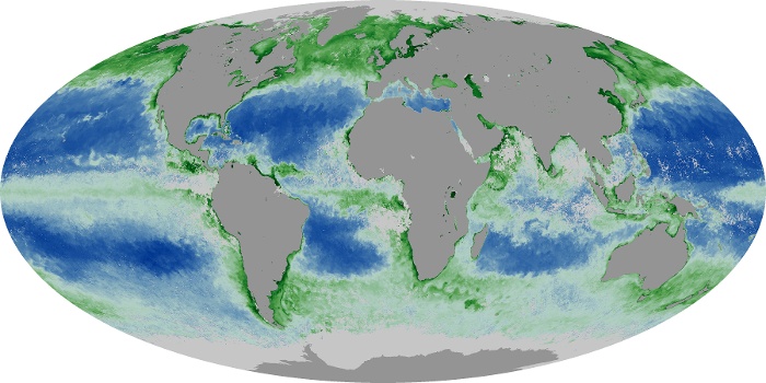 Global Map Chlorophyll Image 135
