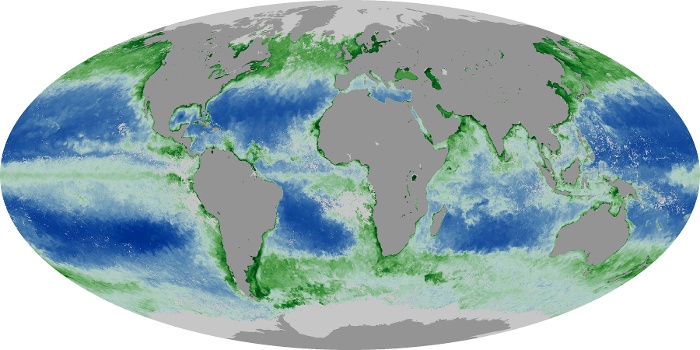 Global Map Chlorophyll Image 136