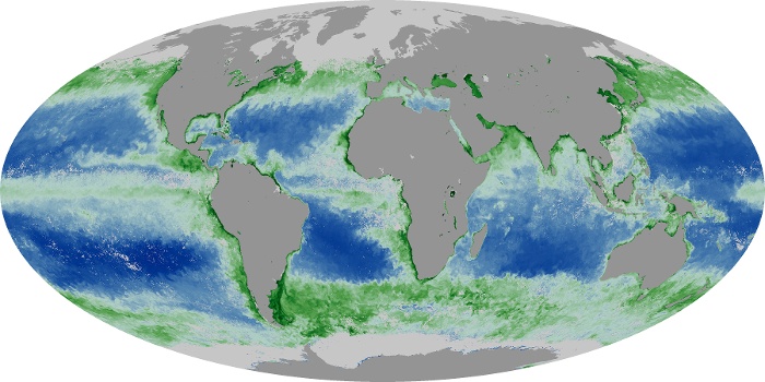 Global Map Chlorophyll Image 137