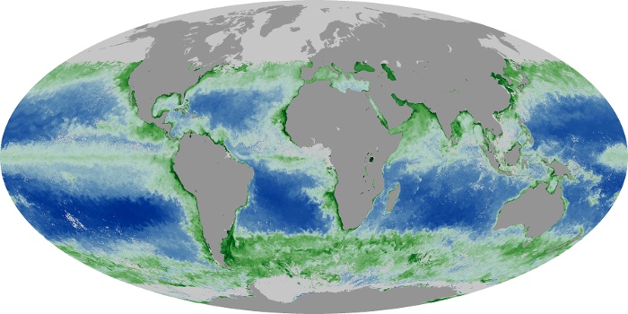 Global Map Chlorophyll Image 138