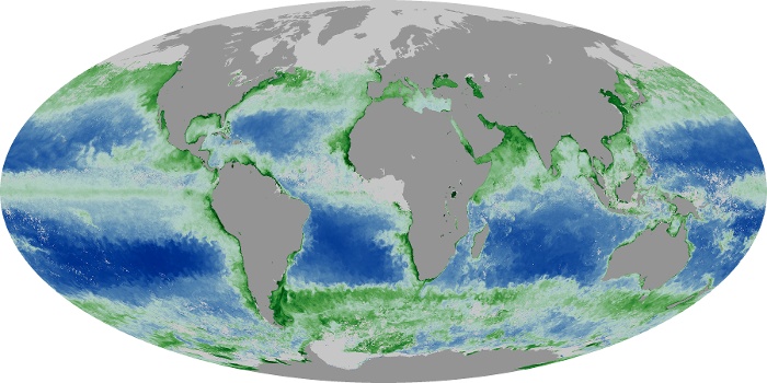 Global Map Chlorophyll Image 139
