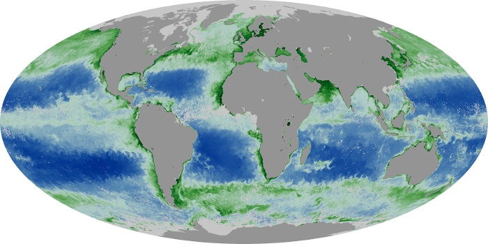 Global Map Chlorophyll Image 141