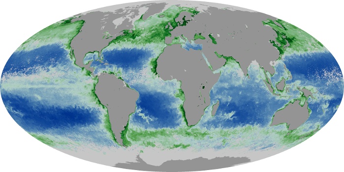 Global Map Chlorophyll Image 142