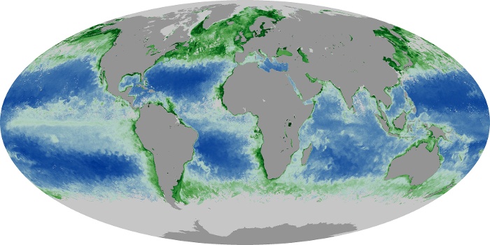 Global Map Chlorophyll Image 143