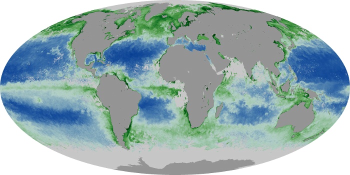 Global Map Chlorophyll Image 146