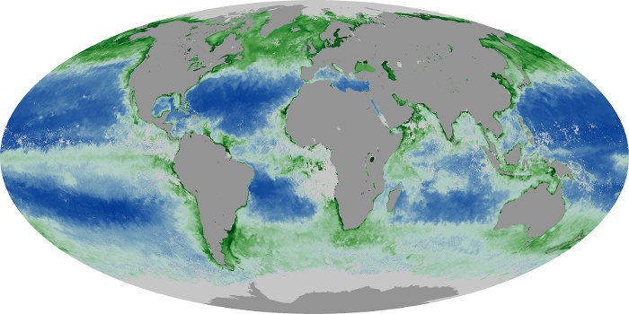 Global Map Chlorophyll Image 147