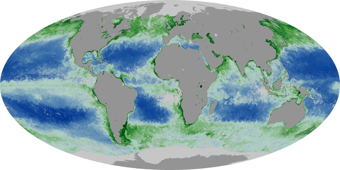 Global Map Chlorophyll Image 148