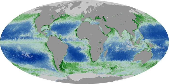 Global Map Chlorophyll Image 149