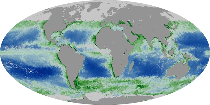 Global Map Chlorophyll Image 150