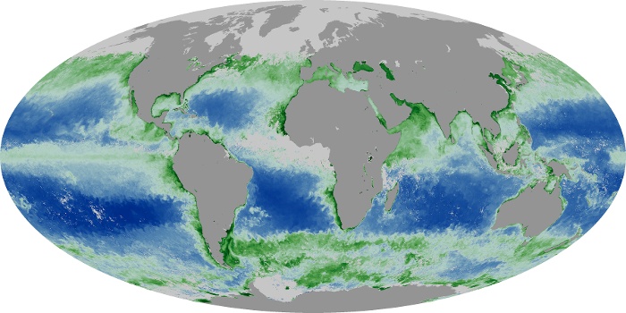 Global Map Chlorophyll Image 151