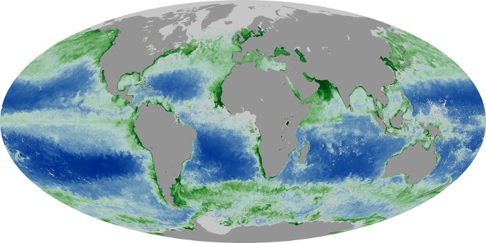 Global Map Chlorophyll Image 152