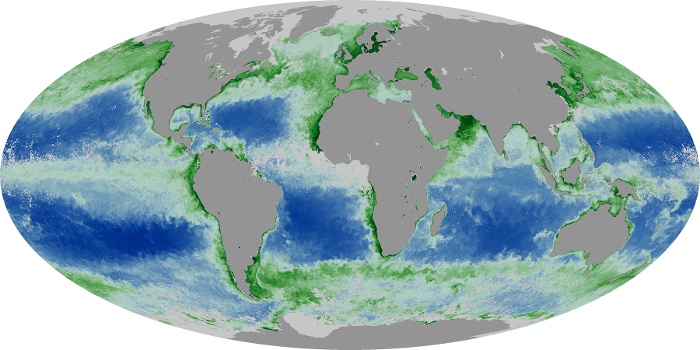 Global Map Chlorophyll Image 153