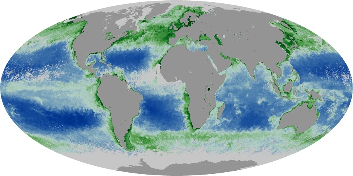 Global Map Chlorophyll Image 154