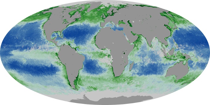 Global Map Chlorophyll Image 159