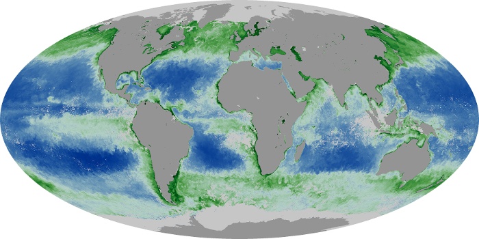 Global Map Chlorophyll Image 160