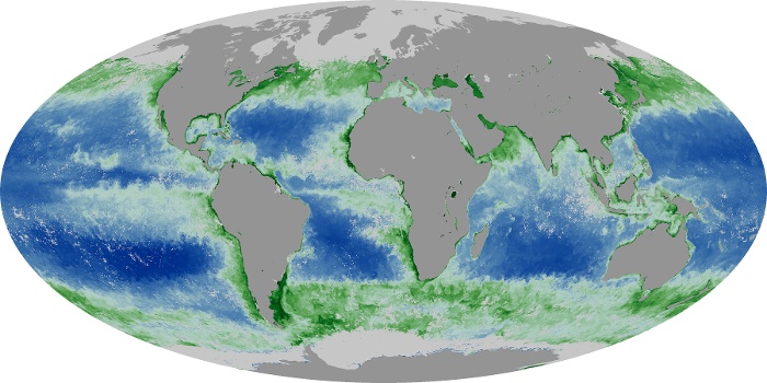 Global Map Chlorophyll Image 161