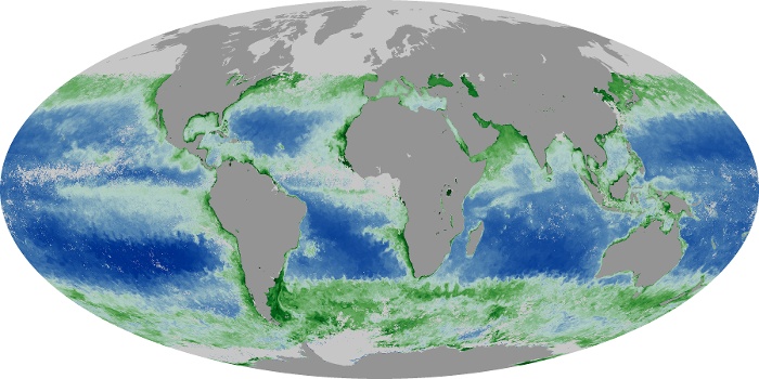 Global Map Chlorophyll Image 162
