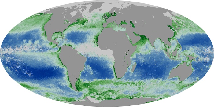 Global Map Chlorophyll Image 164
