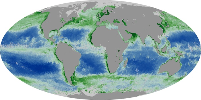 Global Map Chlorophyll Image 165